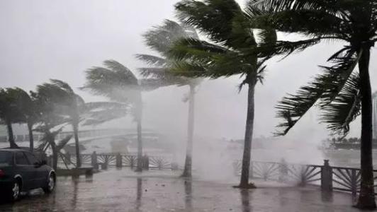 8月臺風(fēng)雨即將來，除濕機還得用起來