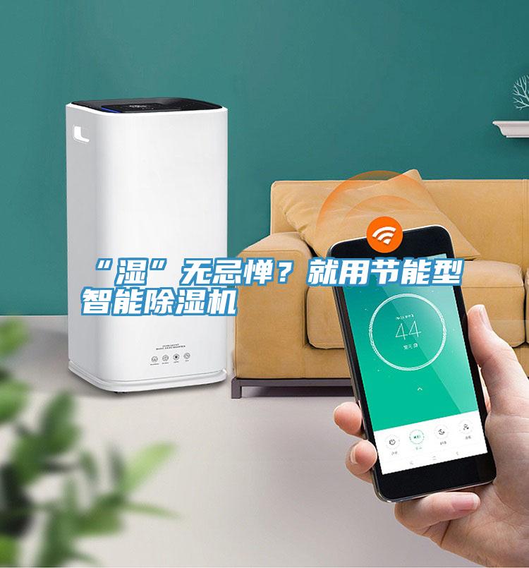 “濕”無忌憚？就用節(jié)能型智能除濕機