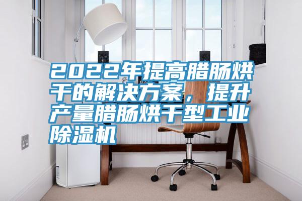 2022年提高臘腸烘干的解決方案，提升產(chǎn)量臘腸烘干型工業(yè)除濕機