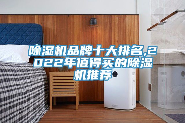 除濕機(jī)品牌十大排名,2022年值得買的除濕機(jī)推薦