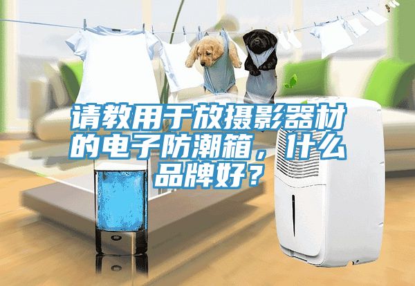 請教用于放攝影器材的電子防潮箱，什么品牌好？