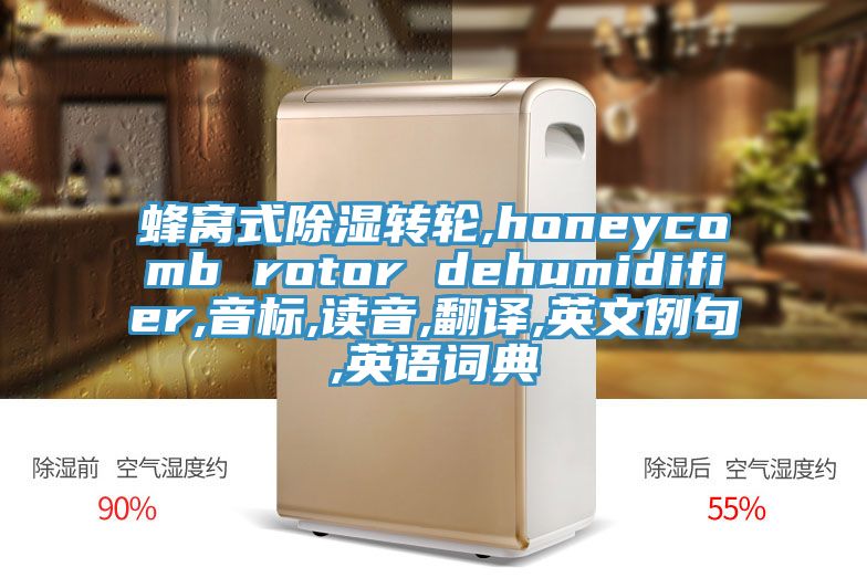 蜂窩式除濕轉(zhuǎn)輪,honeycomb rotor dehumidifier,音標,讀音,翻譯,英文例句,英語詞典