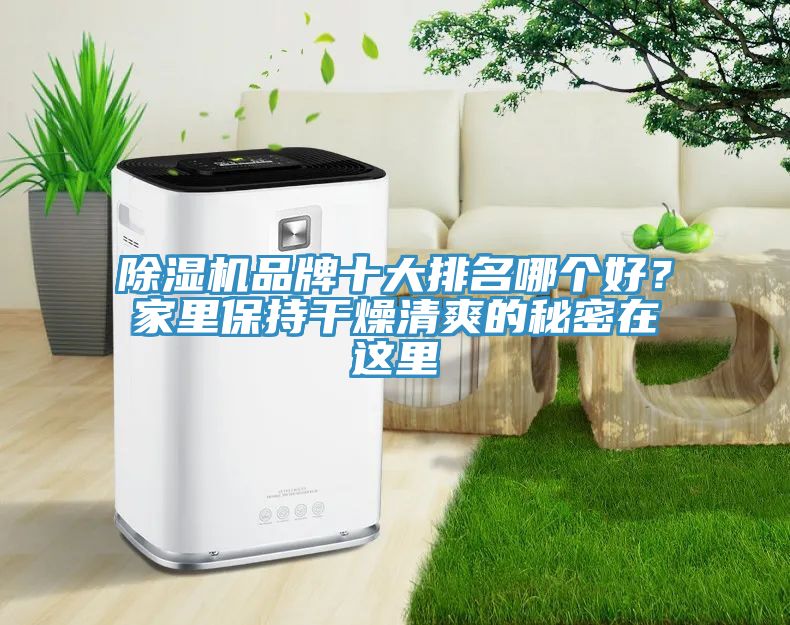 除濕機(jī)品牌十大排名哪個(gè)好？家里保持干燥清爽的秘密在這里