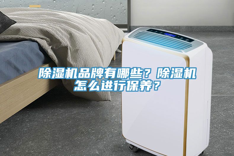 除濕機品牌有哪些？除濕機怎么進行保養(yǎng)？