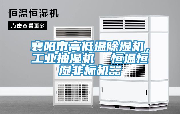 襄陽市高低溫除濕機，工業(yè)抽濕機  恒溫恒濕非標機器