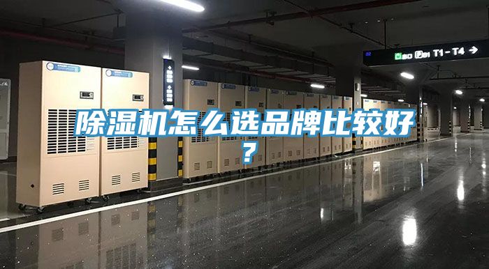 除濕機怎么選品牌比較好？