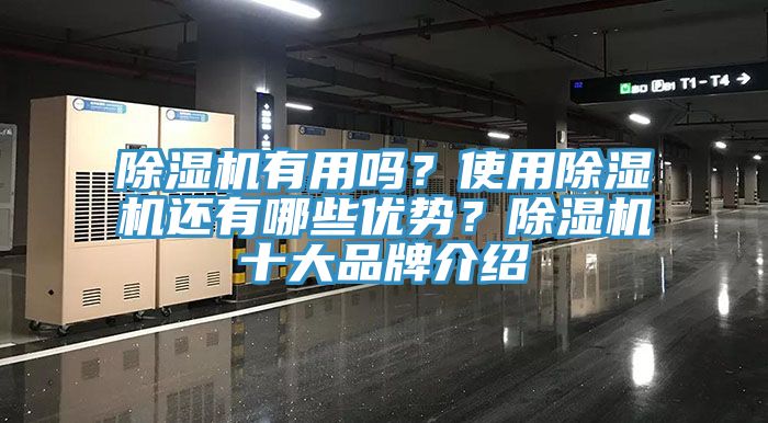 除濕機有用嗎？使用除濕機還有哪些優(yōu)勢？除濕機十大品牌介紹