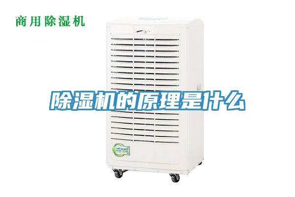 除濕機(jī)的原理是什么