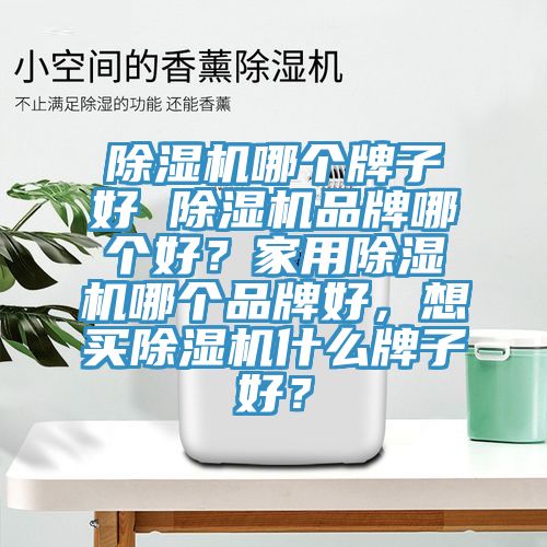 除濕機哪個牌子好 除濕機品牌哪個好？家用除濕機哪個品牌好，想買除濕機什么牌子好？