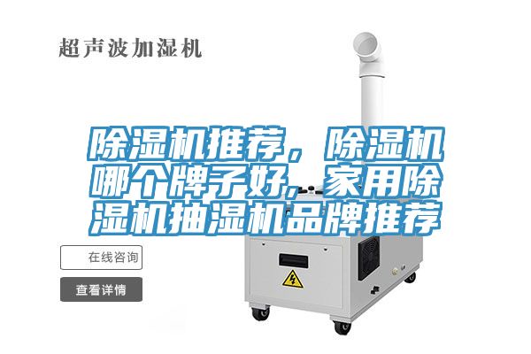 除濕機推薦，除濕機哪個牌子好, 家用除濕機抽濕機品牌推薦