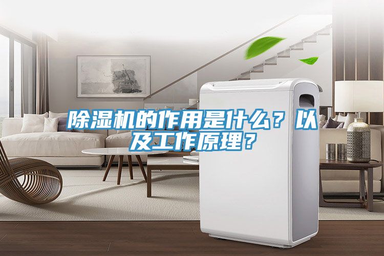 除濕機(jī)的作用是什么？以及工作原理？