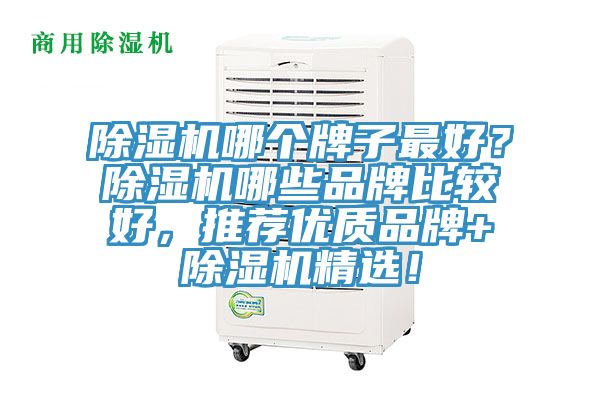 除濕機哪個牌子最好？除濕機哪些品牌比較好，推薦優(yōu)質(zhì)品牌+除濕機精選！