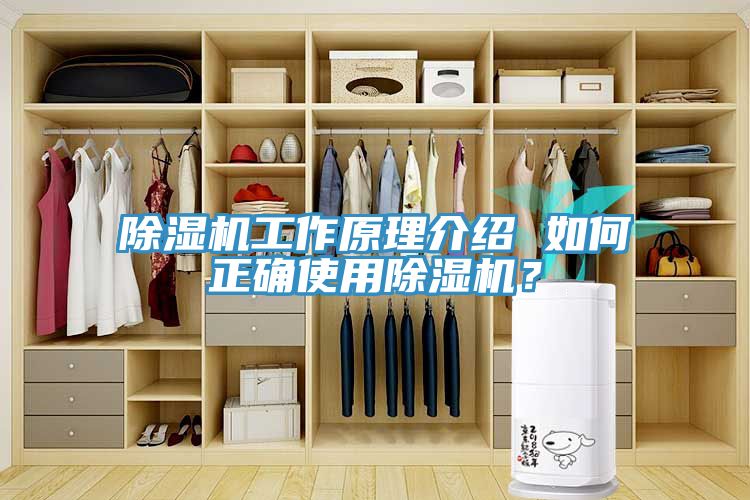 除濕機(jī)工作原理介紹 如何正確使用除濕機(jī)？