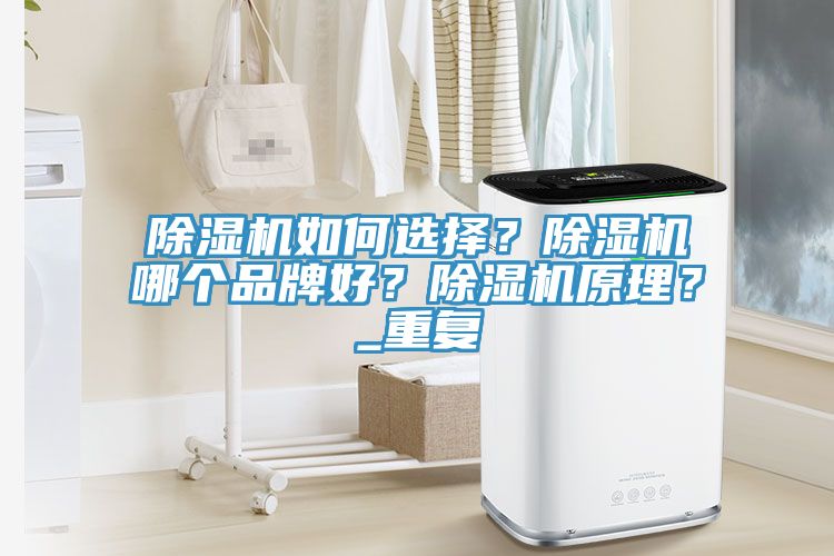 除濕機如何選擇？除濕機哪個品牌好？除濕機原理？_重復