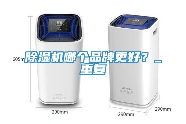 除濕機哪個品牌更好？_重復