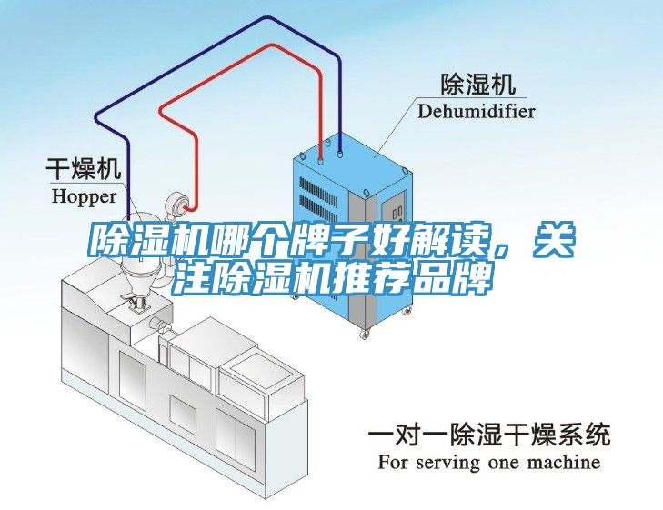 除濕機(jī)哪個(gè)牌子好解讀，關(guān)注除濕機(jī)推薦品牌