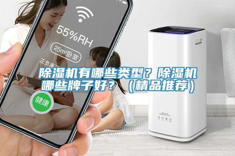 除濕機有哪些類型？除濕機哪些牌子好？（精品推薦）